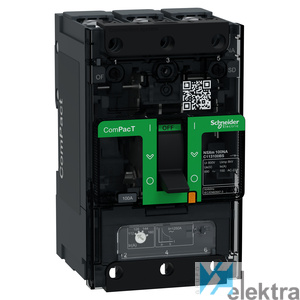 0699163 SCHNEIDER C113100BS Interruptor NSXm100NA AC 3P 10